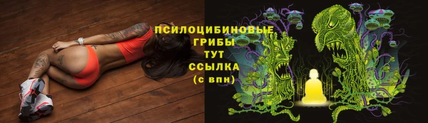твердый Абинск